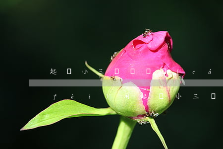 起訴小三歸還錢財(cái)需要多少費(fèi)用(起訴小三歸還錢財(cái)需要多少費(fèi)用)