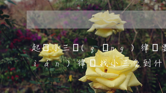 起訴小三請(qǐng)律師要多少錢(qián)(律師找小三受到什么處罰)