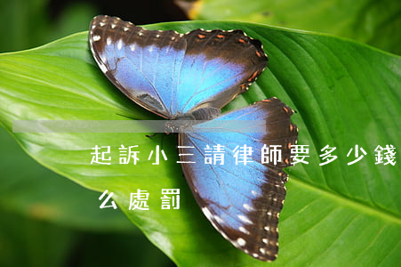 起訴小三請律師要多少錢(律師找小三受到什么處罰)