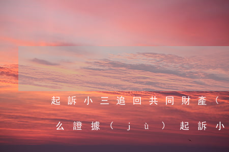 起訴小三追回共同財產(chǎn)需要什么證據(jù)(起訴小三追回共同財產(chǎn)需要什么證據(jù))