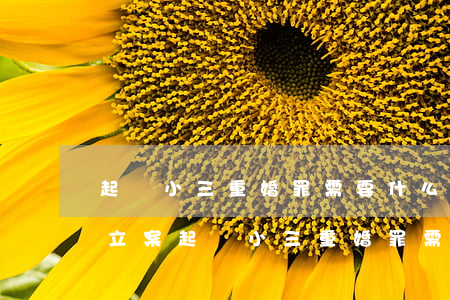 起訴小三重婚罪需要什么證據(jù)才會立案(起訴小三重婚罪需要什么證據(jù)才會立案)