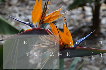 起訴強(qiáng)制執(zhí)行有期限嗎(法院起訴強(qiáng)制執(zhí)行有效期多久)
