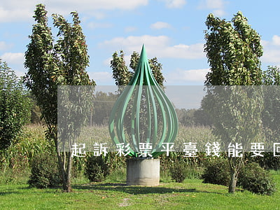 起訴彩票平臺錢能要回來嗎（彩票網貸被起訴）