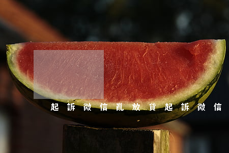 起訴微信亂放貸（起訴微信亂放貸）