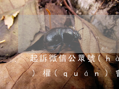 起訴微信公眾號(hào)侵害名譽(yù)權(quán)會(huì)用到哪些法律條款（微信公眾號(hào)起訴老板）