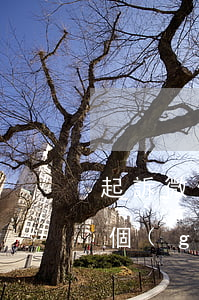 起訴微信公眾號(hào)流程-如何起訴個(gè)人運(yùn)營的公眾號(hào)