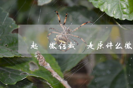 起訴微信截圖是原件么 微信截圖起訴可以不認嗎