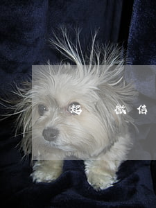 起訴微信截圖當(dāng)證據(jù)