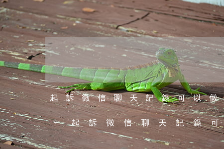 起訴微信聊天記錄可以做為證據(jù)嗎-起訴微信聊天記錄可以做為證據(jù)嗎知乎
