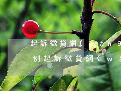 起訴微貸網(wǎng)真實(shí)案例(起訴微貸網(wǎng)真實(shí)案例分享)