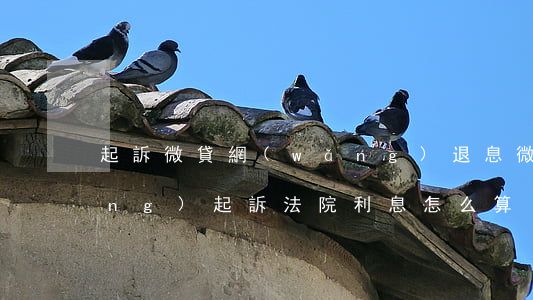 起訴微貸網(wǎng)退息(微貸網(wǎng)起訴 法院利息怎么算)