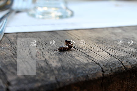起訴快遞公司勝訴幾率(快遞公司怕起訴嗎)