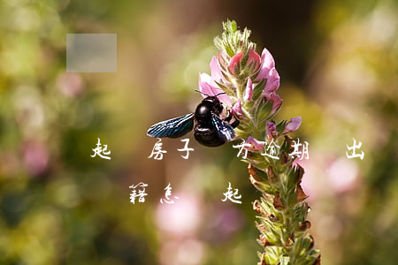 起訴房子賣方逾期遷出戶口案例(賣房不遷出戶籍怎樣起訴)