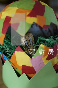 起訴房東需要請律師嗎(起訴房東需要多少錢)