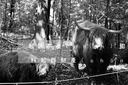 起訴房產(chǎn)繼承分割需要什么材料(起訴財產(chǎn)分割需要哪些手續(xù))