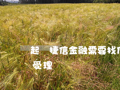起訴捷信金融需要找什么律師(捷信金融法院受理嗎)