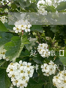 起訴撤訴后律師代理費用怎么處理(案件撤訴律師代理費退嗎)