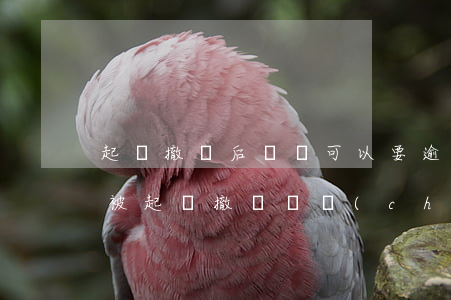 起訴撤訴后違約可以要逾期利息嗎 房貸逾期被起訴撤訴會產(chǎn)生費用嗎?