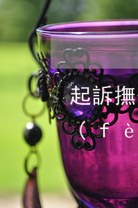起訴撫養(yǎng)費(fèi)訴訟費(fèi)多少錢(法院起訴撫養(yǎng)費(fèi)流程及費(fèi)用)