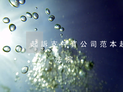 起訴支付寶公司范本(起訴支付寶去哪個(gè)法院)