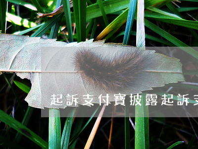 起訴支付寶披露(起訴支付寶披露信息)