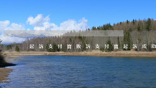 起訴支付寶敗訴(支付寶起訴成功案例)