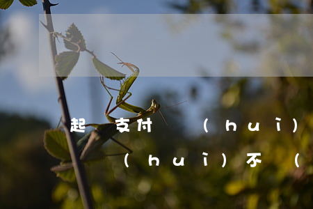 起訴支付寶會(huì)查到嗎-支付寶起訴會(huì)不會(huì)坐牢