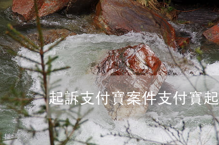 起訴支付寶案件(支付寶起訴概率)