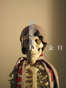 起訴支付寶管轄-起訴支付寶去哪個法院