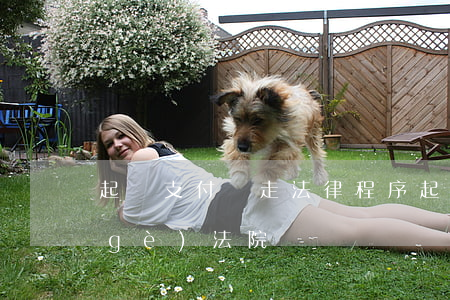 起訴支付寶走法律程序(起訴支付寶去哪個(gè)法院)