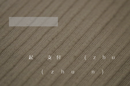 起訴支付寶轉(zhuǎn)賬記錄(支付寶轉(zhuǎn)賬記錄可以起訴還錢嗎)