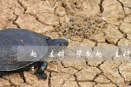 起訴支付寶限制(起訴支付寶限制提現(xiàn))