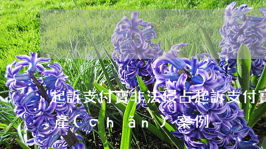 起訴支付寶非法侵占(起訴支付寶非法侵占財產(chǎn)案例)