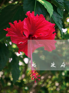 起訴政府欠錢如何起訴
