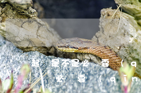 起訴是不是必須要請(qǐng)律師(提起訴訟必須要請(qǐng)律師嗎)