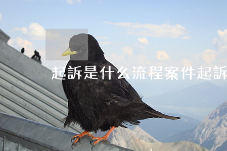 起訴是什么流程(案件起訴流程)