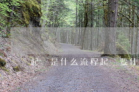 起訴是什么流程(起訴要什么流程)