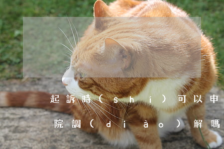 起訴時(shí)可以申請(qǐng)法院調(diào)解嗎(起訴應(yīng)該接受調(diào)解嗎)