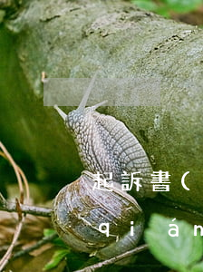 起訴書(shū)代寫(xiě)多少錢(qián)(代寫(xiě)民事起訴狀多少錢(qián))