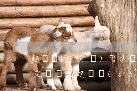 起訴書(shū)可以網(wǎng)上提交嗎(離婚起訴書(shū)可以網(wǎng)上提交嗎)