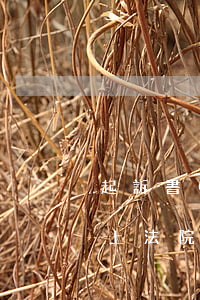 起訴書(shū)可以自己上法院拿嗎(自己上法院起訴需要什么手續(xù))