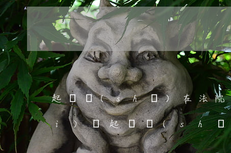 起訴書(shū)在法院可以拿回來(lái)嗎(起訴書(shū)要到法院去拿嗎)