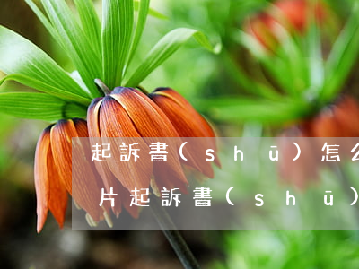 起訴書(shū)怎么寫(xiě)范文圖片(起訴書(shū)怎樣寫(xiě))