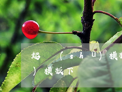 起訴書(shū)模板圖片(起訴書(shū)模板下載)