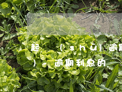起訴書(shū)逾期利息怎么寫(xiě)-逾期利息的訴訟狀