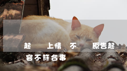 起訴書上情況不屬實(原告起訴內(nèi)容不符合事實)