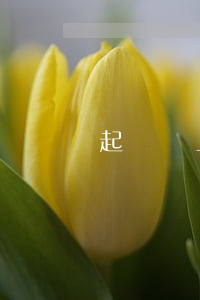 起訴書上沒有寫逾期 逾期提交上訴狀