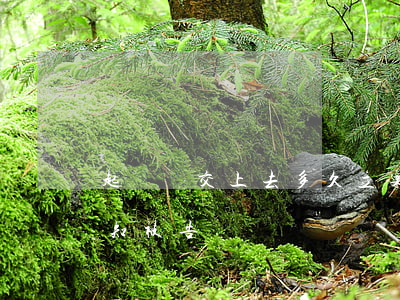 起訴書交上去多久立案(起訴書交上去多久通知被告)