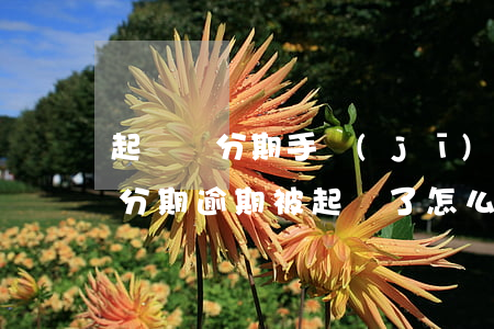 起訴書分期手機(jī)逾期(手機(jī)分期逾期被起訴了怎么辦)