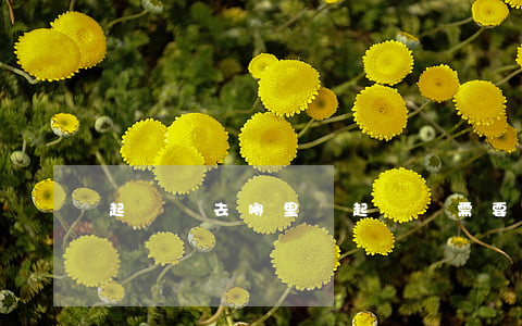 起訴書去哪里寫(起訴狀需要找誰寫)